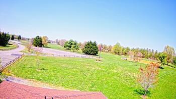 Weather camera view of Oak Ridge Park.