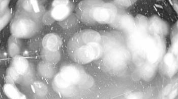 Weather camera view of Pisgah Park.