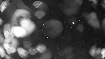 Weather camera view of Pisgah Park.