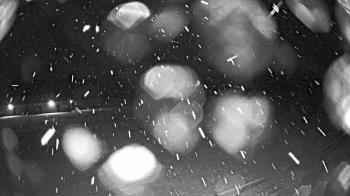 Weather camera view of Pisgah Park.