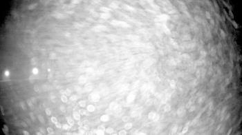 Weather camera view of Pisgah Park.