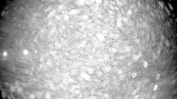 Weather camera view of Pisgah Park.