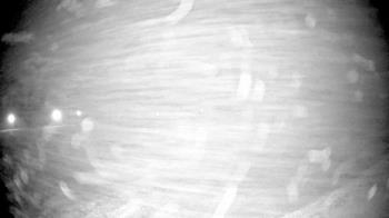 Weather camera view of Pisgah Park.