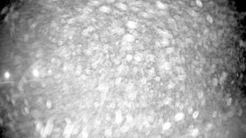 Weather camera view of Pisgah Park.