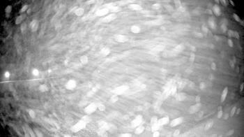 Weather camera view of Pisgah Park.