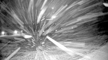 Weather camera view of Pisgah Park.