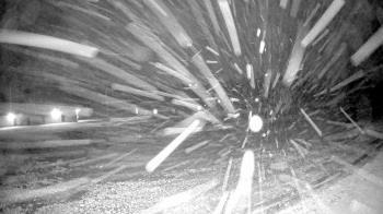 Weather camera view of Pisgah Park.