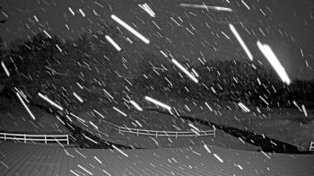 Weather camera view of White Plains Regional Park.