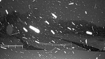 Weather camera view of White Plains Regional Park.