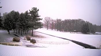 Weather camera view of White Plains Regional Park.