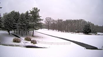 Weather camera view of White Plains Regional Park.