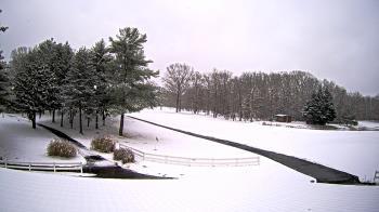 Weather camera view of White Plains Regional Park.