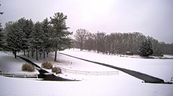 Weather camera view of White Plains Regional Park.