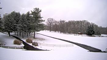 Weather camera view of White Plains Regional Park.