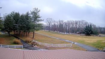 Weather camera view of White Plains Regional Park.