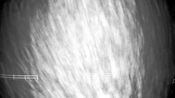 Weather camera view of White Plains Regional Park.