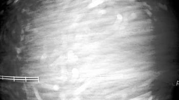 Weather camera view of White Plains Regional Park.