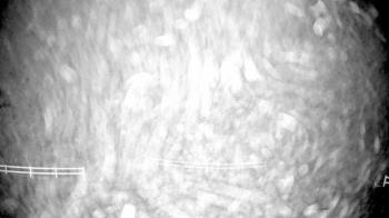 Weather camera view of White Plains Regional Park.