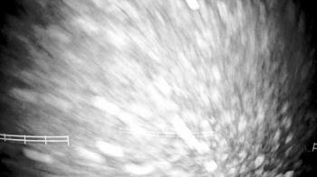 Weather camera view of White Plains Regional Park.