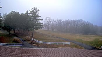 Weather camera view of White Plains Regional Park.