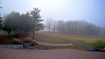 Weather camera view of White Plains Regional Park.