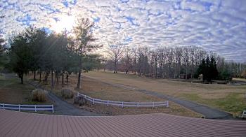 Weather camera view of White Plains Regional Park.