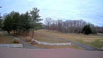 Weather camera view of White Plains Regional Park.