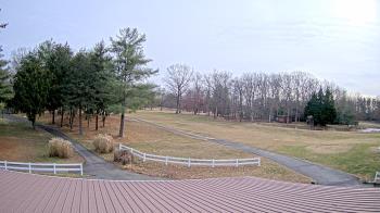 Weather camera view of White Plains Regional Park.