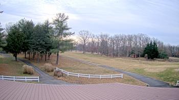 Weather camera view of White Plains Regional Park.