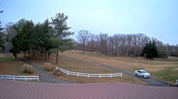 Weather camera view of White Plains Regional Park.