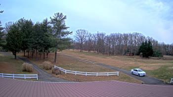 Weather camera view of White Plains Regional Park.
