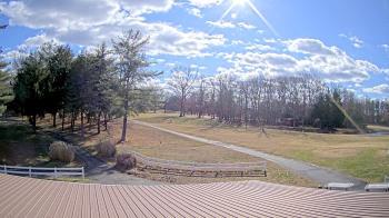 Weather camera view of White Plains Regional Park.