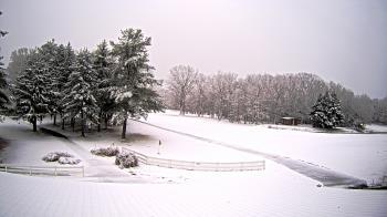 Weather camera view of White Plains Regional Park.
