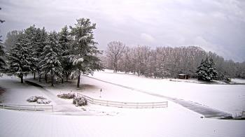 Weather camera view of White Plains Regional Park.