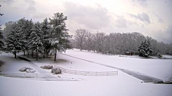 Weather camera view of White Plains Regional Park.