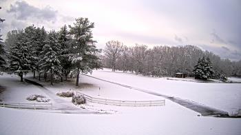 Weather camera view of White Plains Regional Park.