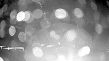 Weather camera view of White Plains Regional Park.