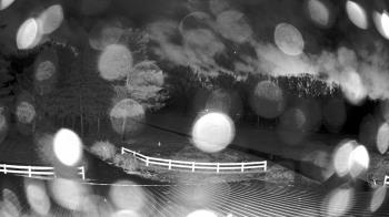 Weather camera view of White Plains Regional Park.