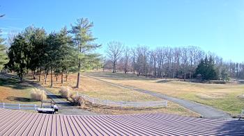 Weather camera view of White Plains Regional Park.