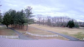 Weather camera view of White Plains Regional Park.