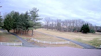 Weather camera view of White Plains Regional Park.