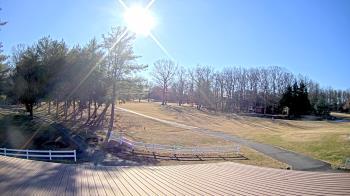 Weather camera view of White Plains Regional Park.