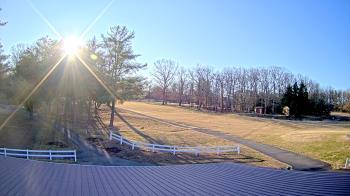Weather camera view of White Plains Regional Park.