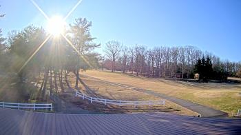 Weather camera view of White Plains Regional Park.
