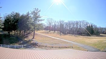 Weather camera view of White Plains Regional Park.