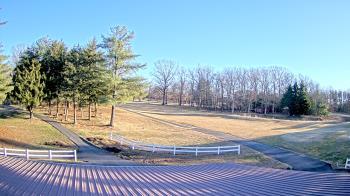 Weather camera view of White Plains Regional Park.