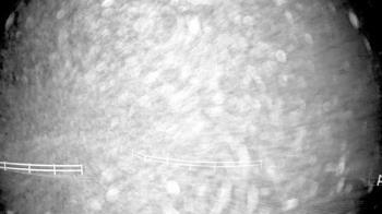 Weather camera view of White Plains Regional Park.