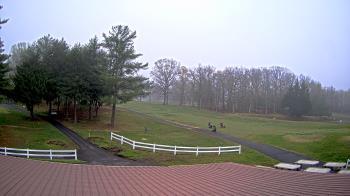 Weather camera view of White Plains Regional Park.