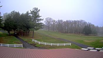 Weather camera view of White Plains Regional Park.