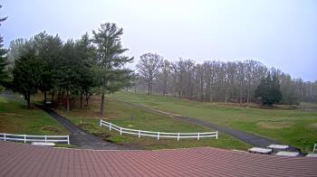 Weather camera view of White Plains Regional Park.
